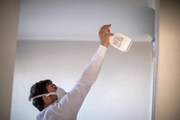 Best Certified Mold Removal  in Freeport, IL