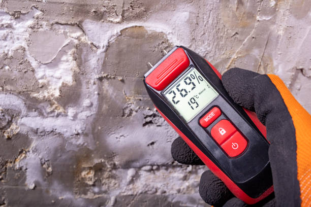 Best Mold Testing  in Freeport, IL