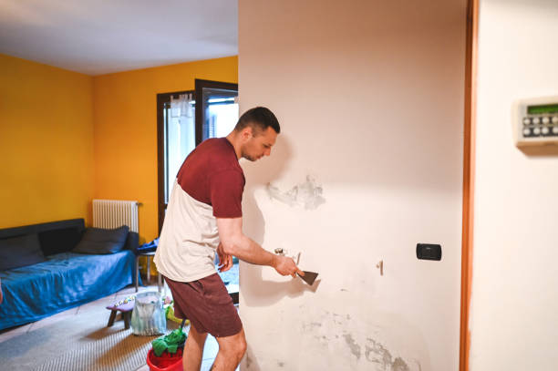Best Crawl Space Mold Removal  in Freeport, IL